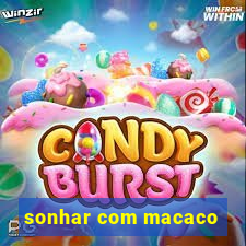 sonhar com macaco